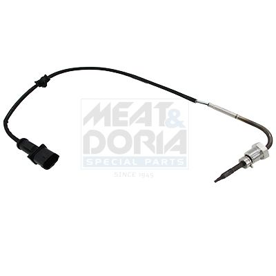 Sensor Abgastemperatur