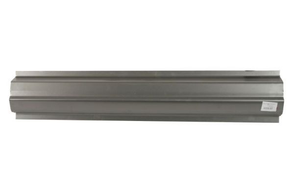 Einstiegsblech Schweller