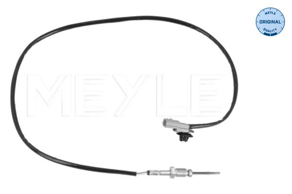 Sensor Abgastemperatur