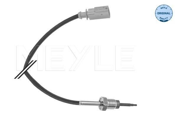 Sensor Abgastemperatur