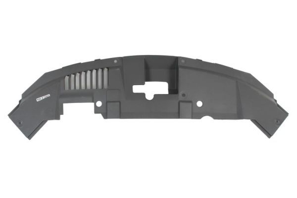 Frontmaske Frontgerüst Schloßträger