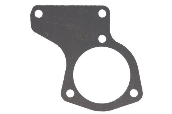 Dichtung Thermostat