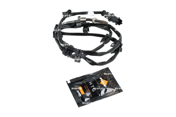 Sensor Abgastemperatur
