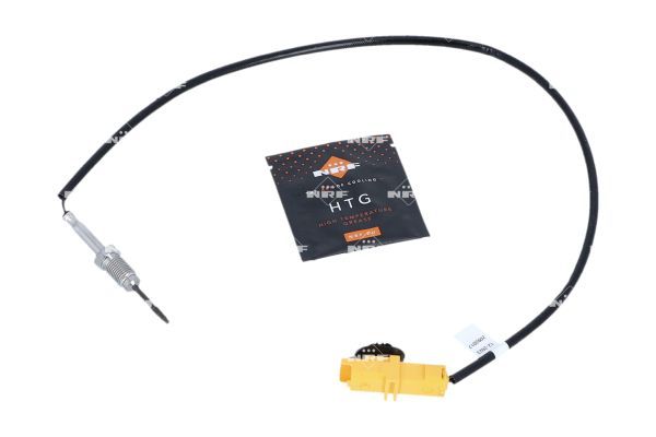 Sensor Abgastemperatur