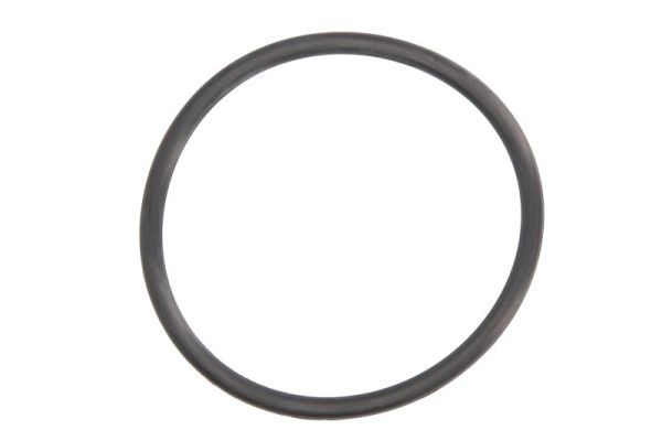 Dichtung Differential