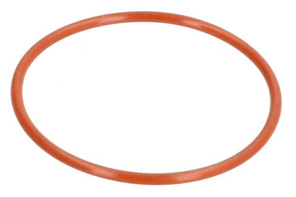 Dichtung Thermostat