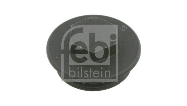 Verschlussscheibe Achsschenkel