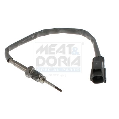 Sensor Abgastemperatur