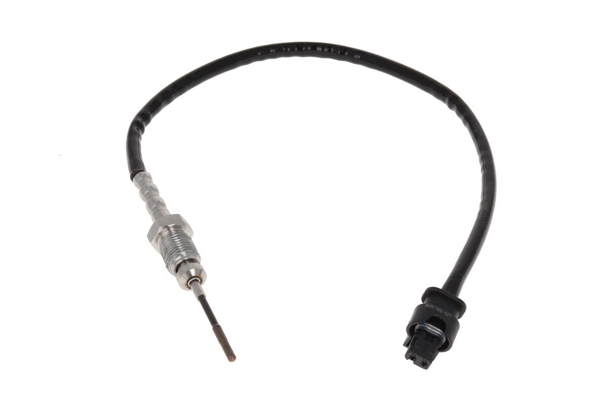 Sensor Abgastemperatur