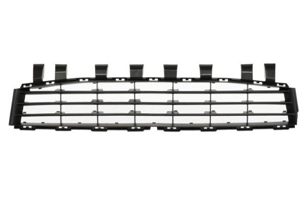 Stoßstange Gitter