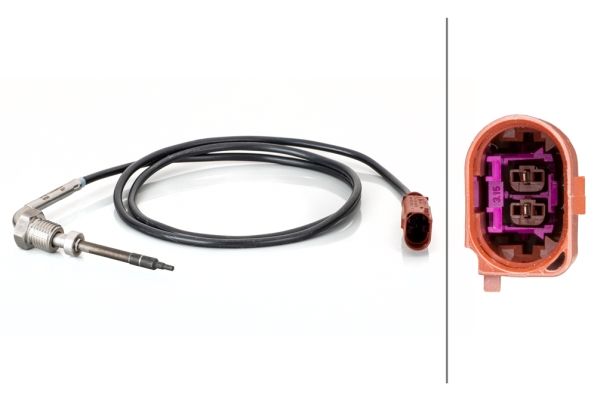 Abgastemperatursensor