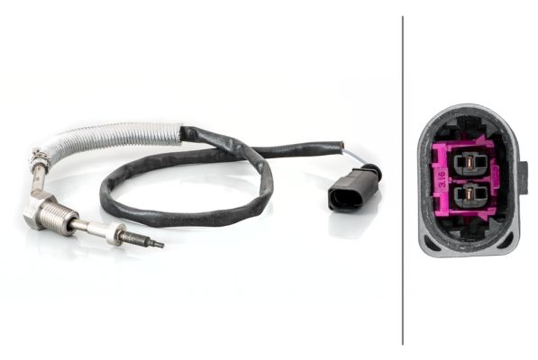 Sensor Abgastemperatur