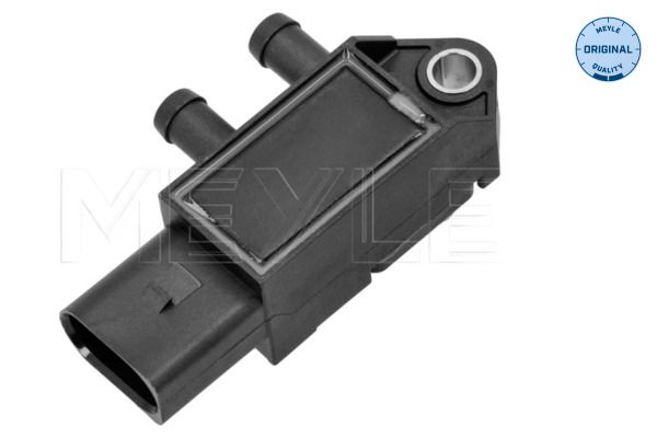 Abgasdrucksensor Differenzdruck