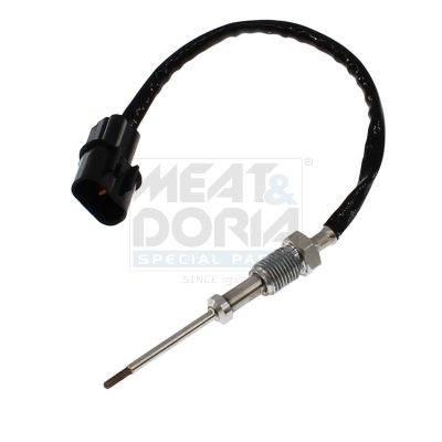 Sensor Abgastemperatur