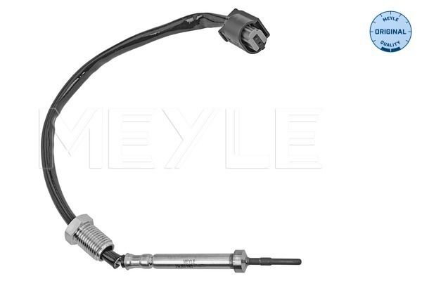 Sensor Abgastemperatur