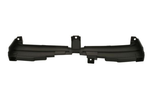 Frontmaske Frontgerüst Schloßträger