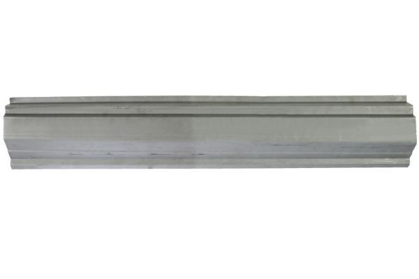 Einstiegsblech Schweller