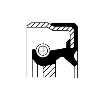 Wellen Dichtring Differential