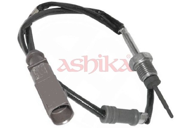 Sensor Abgastemperatur