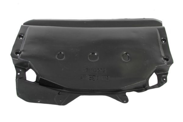 Unterfahrschutz Motorschutz