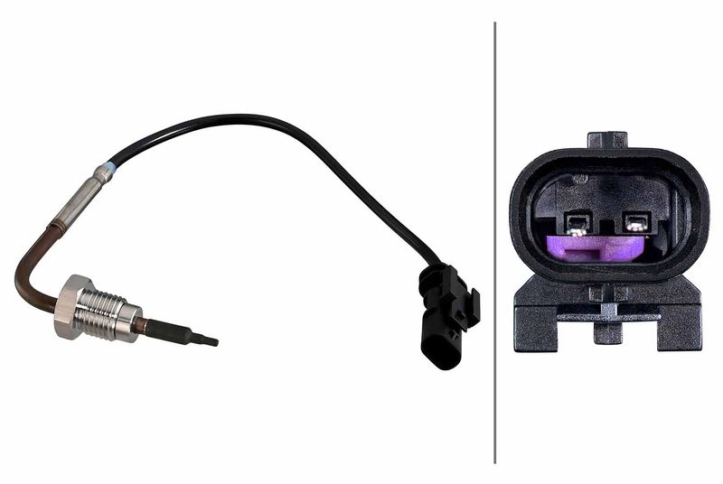 Sensor Abgastemperatur