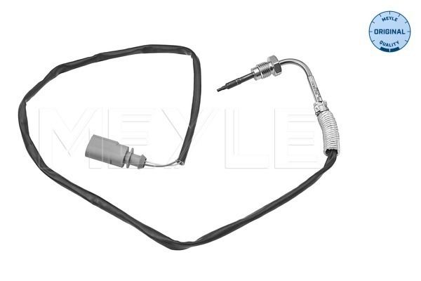 Sensor Abgastemperatur