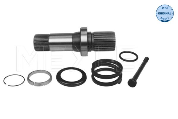 Steckwelle Differential