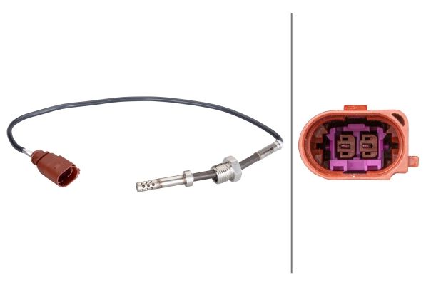 Sensor Abgastemperatur