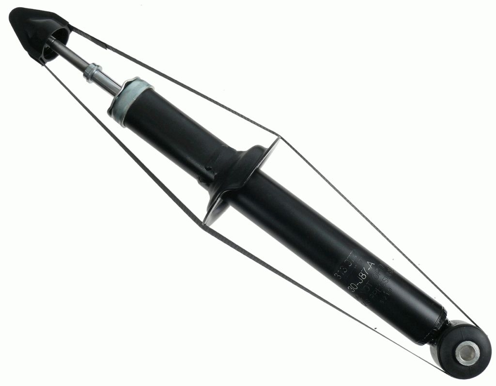 Stoßdämpfer Federbein