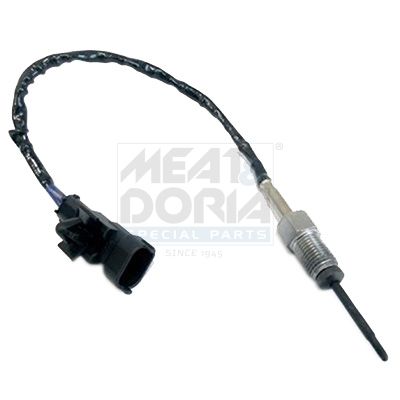 Sensor Abgastemperatur