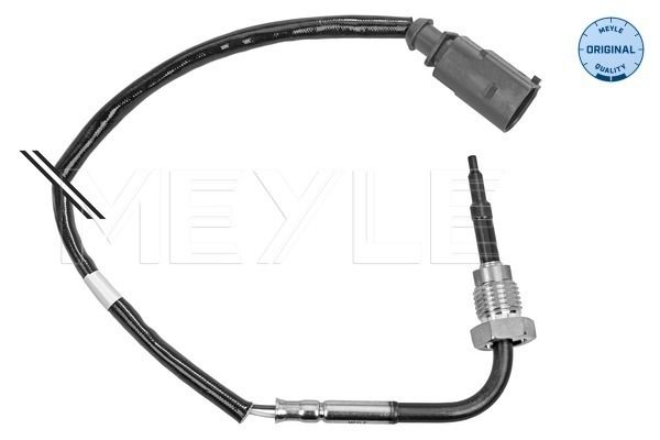 Sensor Abgastemperatur