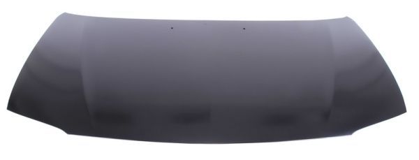 Motorhaube