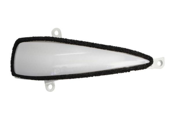 Blinker Blinkleuchte