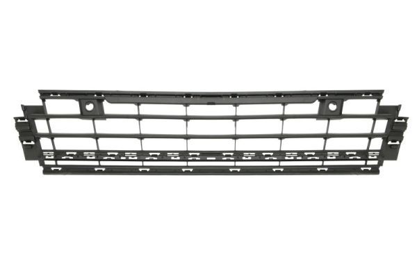 Stoßstange Gitter