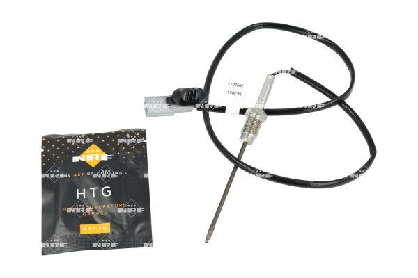 Sensor Abgastemperatur
