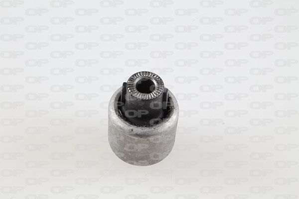 Querlenker Silentblock vorne