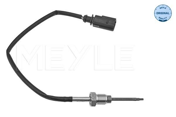 Sensor Abgastemperatur