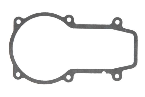 Dichtung Kraftstoffpumpe