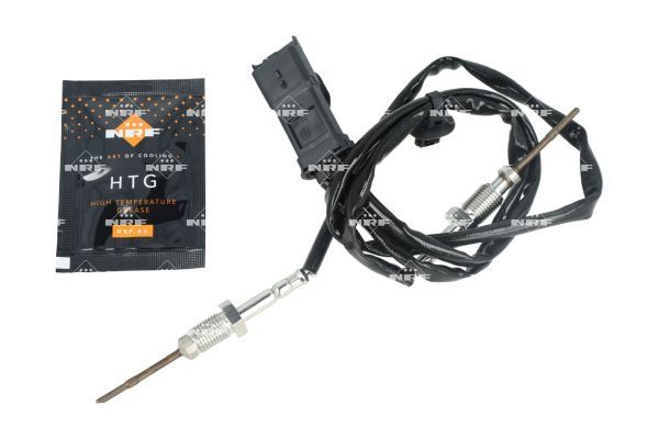 Sensor Abgastemperatur