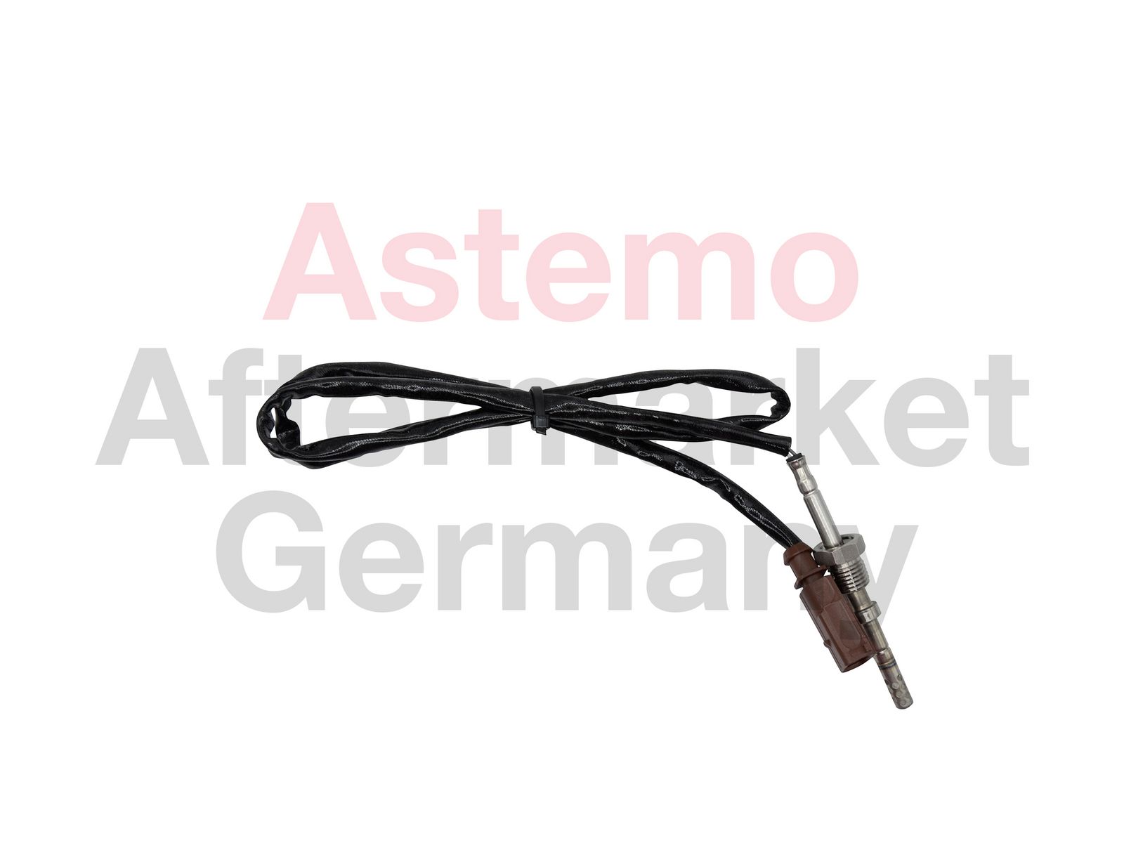 Sensor Abgastemperatur