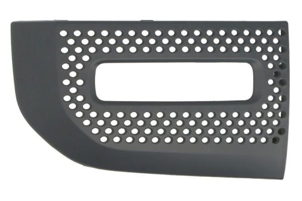 Stoßstange Gitter