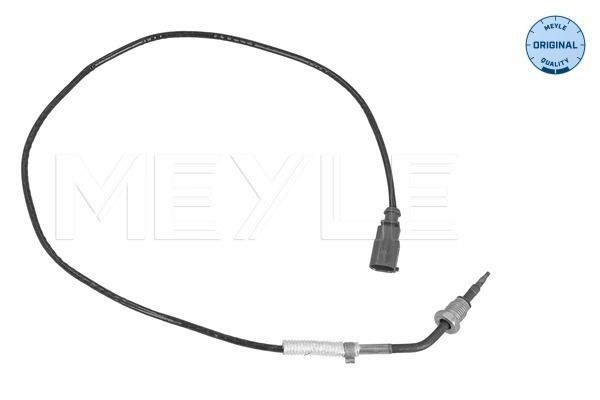 Sensor Abgastemperatur