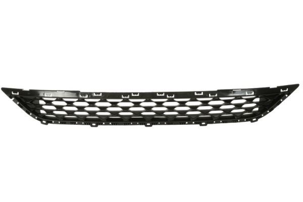 Stoßstange Gitter
