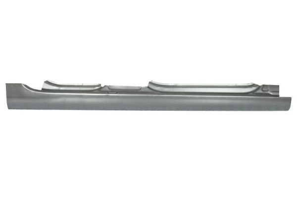 Einstiegsblech Schweller