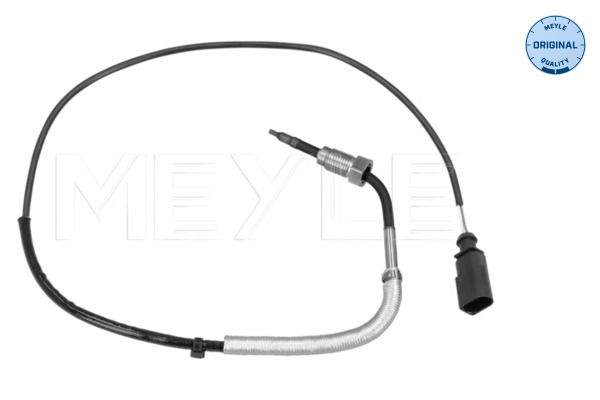 Sensor Abgastemperatur