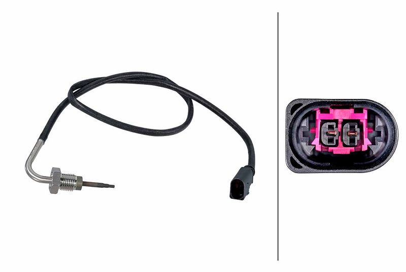 Sensor Abgastemperatur