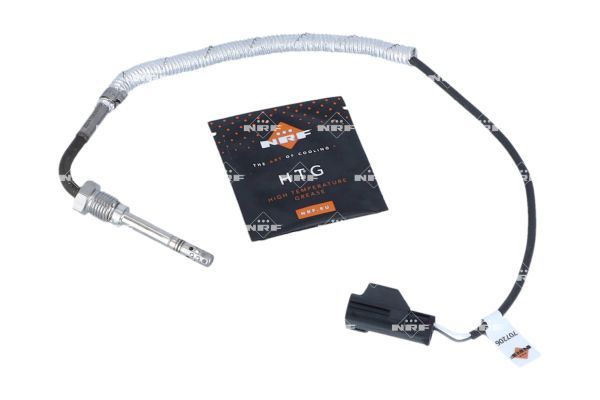 Sensor Abgastemperatur