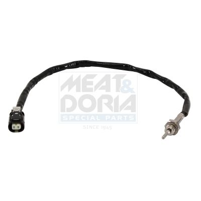 Sensor Abgastemperatur