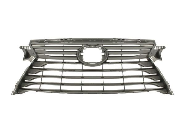 Kühlergrill Kühlergitter Frontgrill