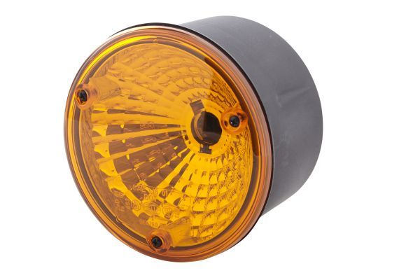 Blinker Blinkleuchte